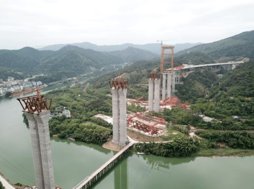 quais as regras_próximo jogo do atlético_puxada do elefante 2023