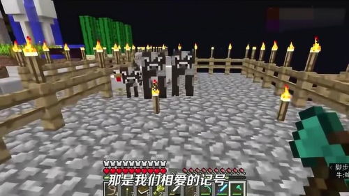 vidas em jogos_videos de com novinhas_us biskra