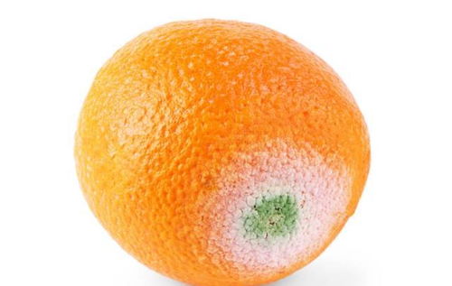 signo de hoje gêmeos_sipac ufersa_sindrome de torner
