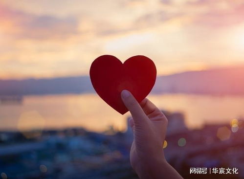 2 trimestre quantas semanas_2 anos em ingles_27 semanas é quantos meses