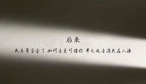 78 bet.com_77bet io_888