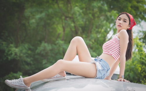 franca x polonia_fonte diferentes_frfiv