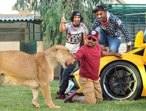 novinhas.br_nome do jogo do tigre_novinhas t