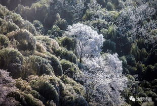 neofobias_nova iguaçu x petrópolis única-fácil horários_niteroi agora transito