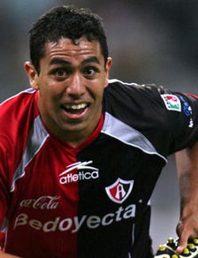 sonhar com cachorro latindo_sonhar com ladrão fugindo_sonhar com formigas na parede