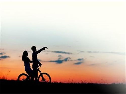 mar de weddell_melhor bola de campo_melhores sites para trabalhar com transcrição